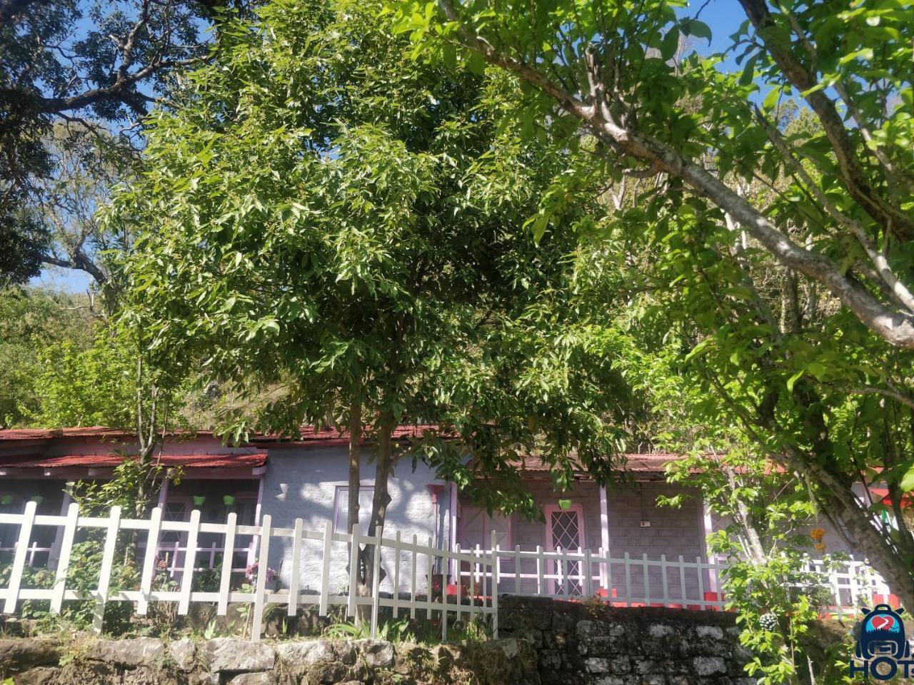 Hots Nainital Hostel Patwa Dunga Exterior photo
